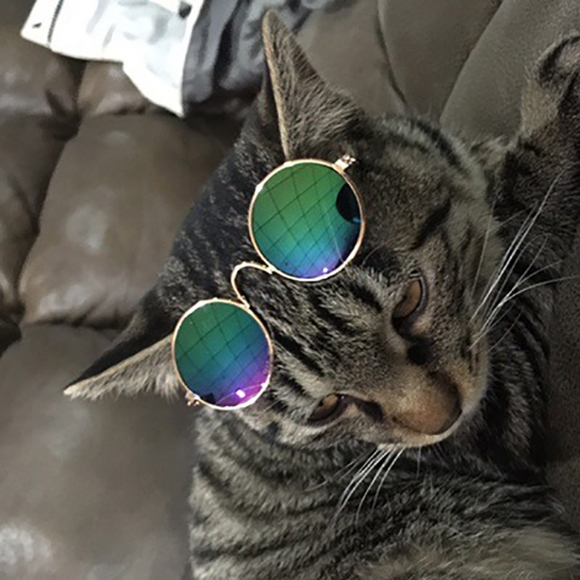5/25 Pet Sunglasses Cat (M) size or small Dog (L) size - Picture 7 of 16